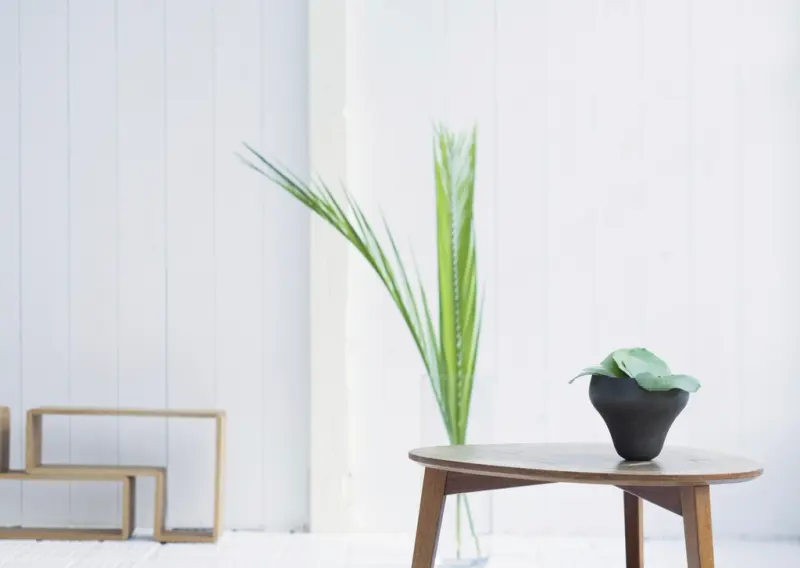 Rental Listing Photography: How Photos Fill Units Faster