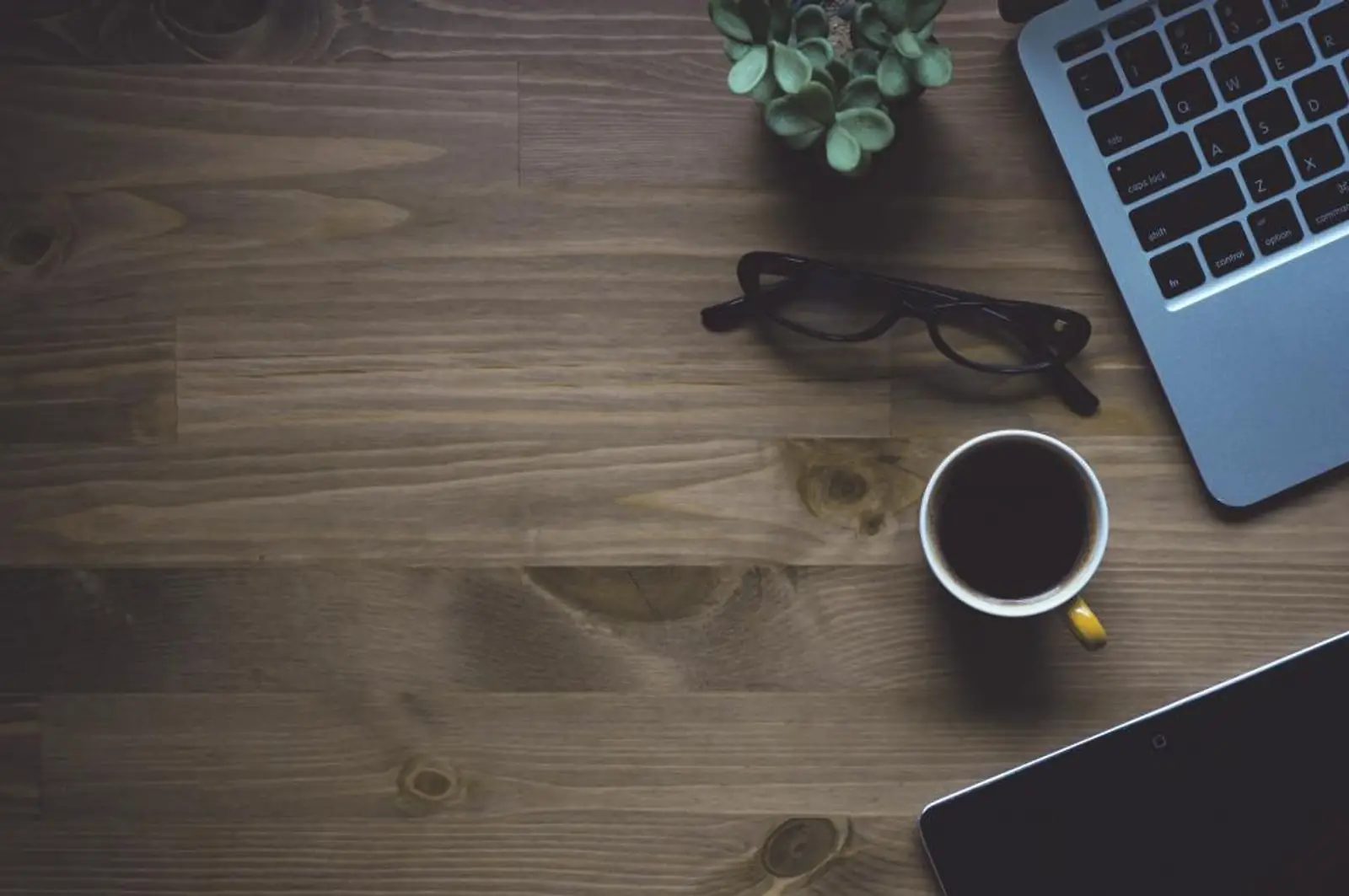 How Much Does a Property Management Website Cost in 2026?