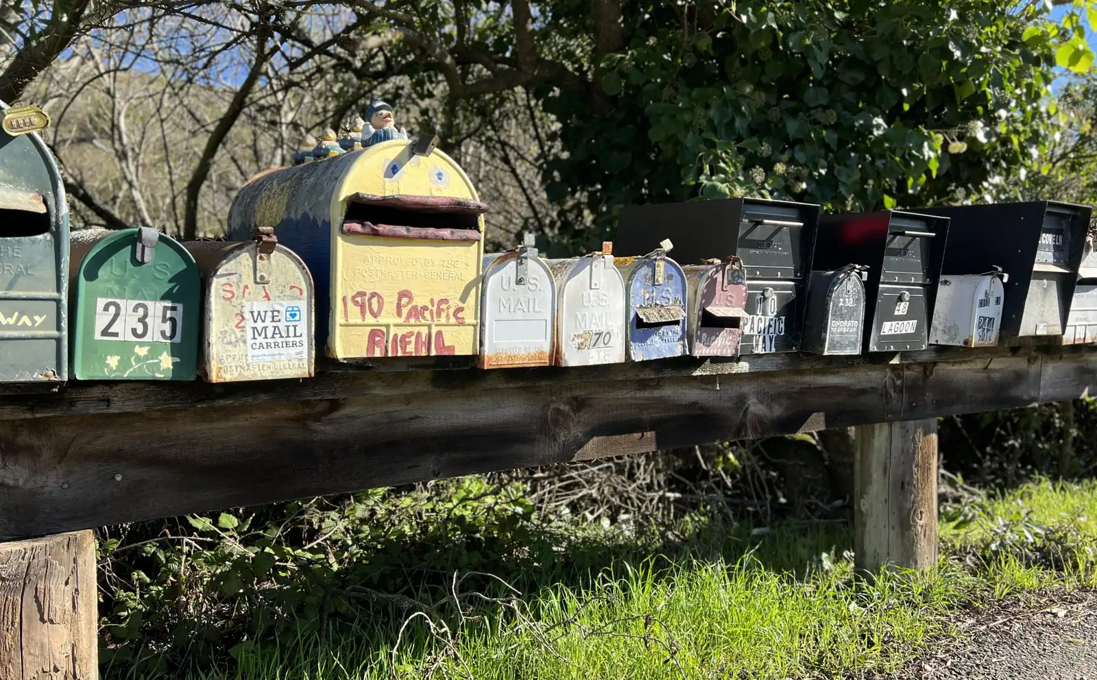 Rows of colorful residential mailboxes lined up along a street, each one its own address